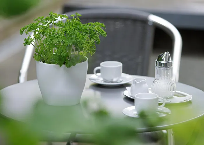 酒店 阿帕特商务酒店 3*