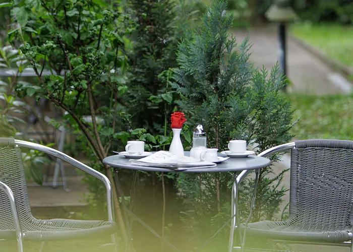 酒店 阿帕特商务酒店 3*